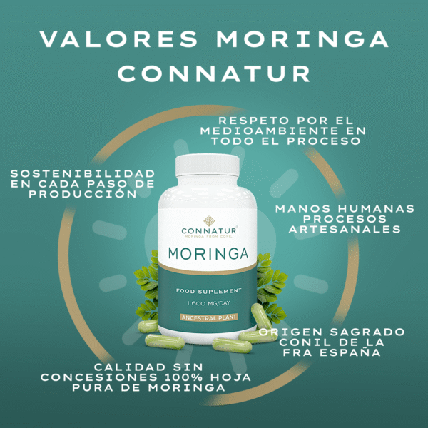 Complemento Alimenticio Moringa Bio 3 Unidades. 35% descuento. - Imagen 4